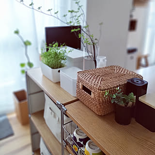 キッチン/日の光/築古マンション/観葉植物/無印良品...などのインテリア実例 - 2022-04-29 13:17:37