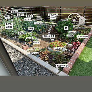 庭 畑のおしゃれなインテリアコーディネート レイアウトの実例 Roomclip ルームクリップ