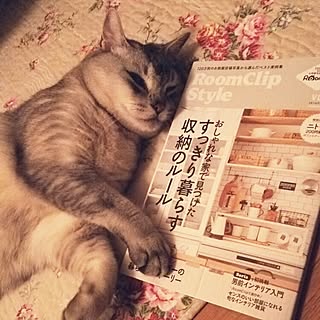 tamacharouさんの実例写真