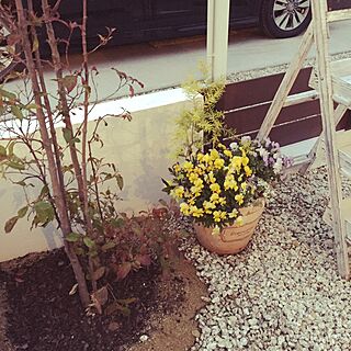 玄関/入り口/お花/寄せ植え/家作り/庭...などのインテリア実例 - 2015-04-03 10:58:23