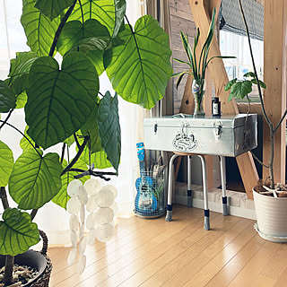 棚/楽器のある部屋/海外インテリアに憧れる/観葉植物/新築...などのインテリア実例 - 2018-04-19 10:43:21