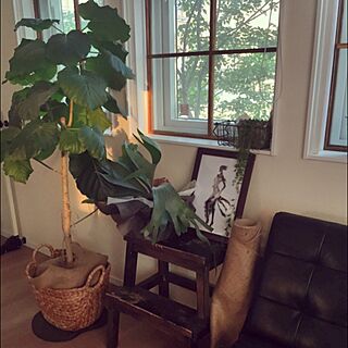 壁/天井/IG→mamitos0829/植物/IKEA/窓枠DIYのインテリア実例 - 2016-05-23 17:57:24