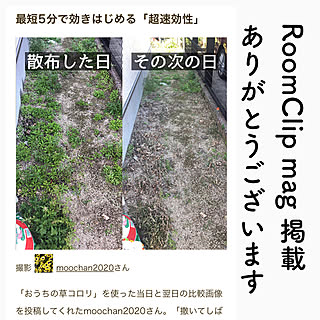 除草剤/おうちの草コロリ/RoomClip mag 掲載/RoomClip mag/花壇DIY...などのインテリア実例 - 2021-04-30 16:37:03