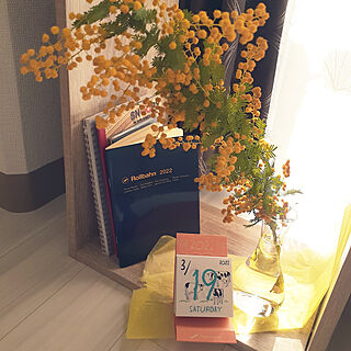 棚/ミモザ/花のある暮らし/日めくりカレンダー/花瓶のインテリア実例 - 2022-03-19 08:08:22