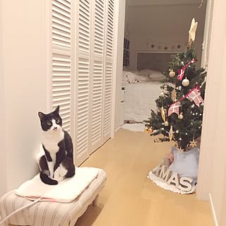 部屋全体/ナチュラルキッチン/クリスマス/ZARA HOME/ねこ部...などのインテリア実例 - 2016-11-12 18:36:41