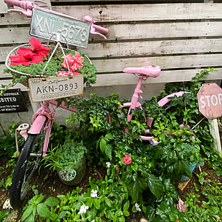 板張のフェンスdiy/ナンバープレート/ハイビスカス/自転車のオブジェ/南の花壇...などのインテリア実例 - 2021-08-14 18:36:06