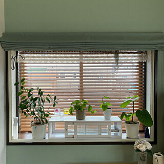 グリーンのある暮らし/観葉植物/窓辺のグリーン/棚のインテリア実例 - 2021-04-16 11:36:20