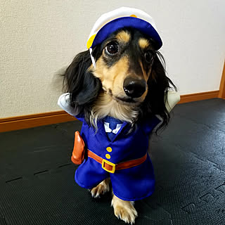 玄関/入り口/警察官になりました(笑)/え？/警察犬じゃなく？/コスプレわんこ...などのインテリア実例 - 2023-03-07 11:10:54