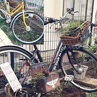 セリア 自転車リメイクの商品を使ったおしゃれなインテリア実例 Roomclip ルームクリップ