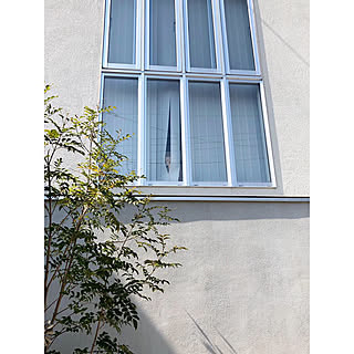 段窓/YKKap/いぬと暮らす/いぬのいる暮らし/壁/天井のインテリア実例 - 2019-04-23 10:54:05