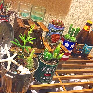 棚/cactus/観葉植物/サボテン/Hawaiian...などのインテリア実例 - 2016-04-28 00:03:23