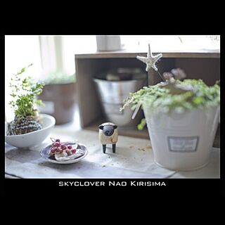 キッチン/観葉植物/苔玉/植物/出窓のインテリア...などのインテリア実例 - 2013-03-06 13:35:35