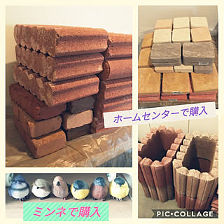 部屋全体/庭作り/庭つくり中/小鳥のオブジェ/ミンネで購入...などのインテリア実例 - 2021-09-05 14:01:26