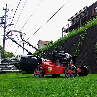 plow/ティフトン/ティフトン芝/芝生/岐阜県民やお...などのインテリア実例 - 2023-08-11 13:26:31