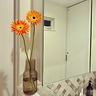 バス/トイレ/花のある暮らし/花が好き/間接照明のある部屋/植物を増やしたい...などのインテリア実例 - 2024-01-18 16:56:45