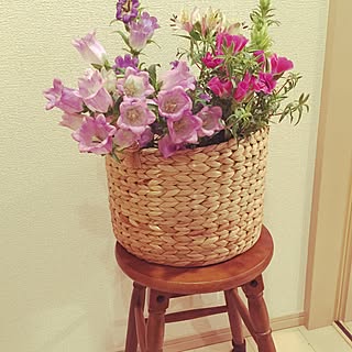 玄関/入り口/花のある暮らし/玄関に花を/隣が畑/釣鐘草...などのインテリア実例 - 2017-05-29 20:37:03