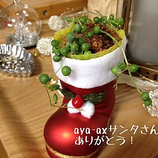 棚/植物/グリーンネックレス/お陰様で(o˘◡˘o)/いただきもの♡...などのインテリア実例 - 2013-11-21 18:04:42