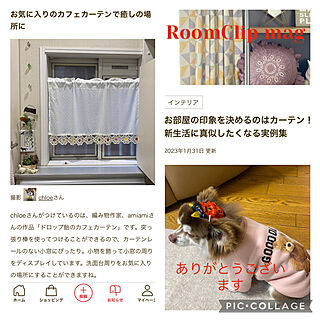 洗面所/amiamiさんの作品/カフェカーテン/RoomClip mag 掲載/いいね！ありがとうございます♪...などのインテリア実例 - 2023-02-01 13:40:34