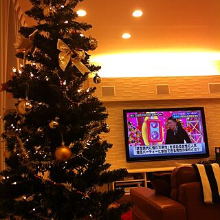 リビング/クリスマスツリー/壁掛け テレビのインテリア実例 - 2012-12-10 23:30:04