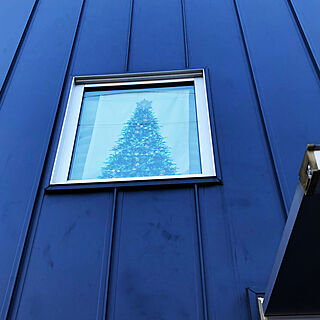 #クリスマスツリー/ゼロキューブ/ガルバリウム鋼板/FIX窓/玄関/入り口のインテリア実例 - 2021-12-05 15:27:05