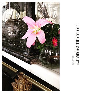 ベランダガーデンの花/French/フレンチシック/vintage/antique...などのインテリア実例 - 2015-07-07 10:03:32