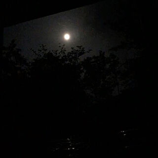 夜空/月/ベッドからの眺め/窓からの眺め/窓...などのインテリア実例 - 2020-06-05 23:48:38