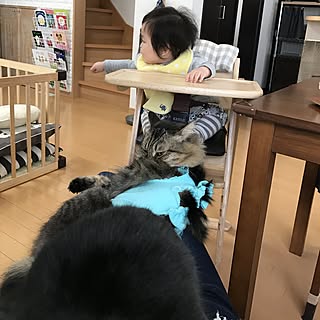 yuki0511さんの実例写真