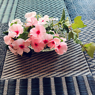 晴天♪/ピンクの花♪/鉢植え/ニチニチソウ/強い花...などのインテリア実例 - 2022-08-05 09:09:00