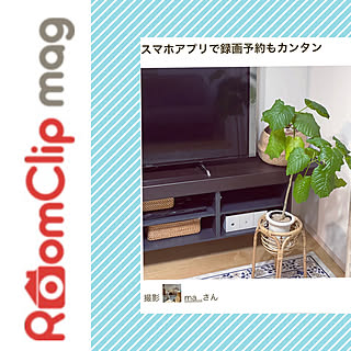 RoomClipマグ/RoomClip mag掲載ありがとうございます/北欧/部屋全体のインテリア実例 - 2022-04-08 21:44:23