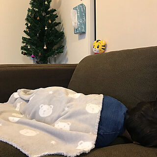 IKEAのソファー/しまじろう/ZARA HOME ブランケット/クリスマスツリー/リビングのインテリア実例 - 2020-11-25 19:41:41