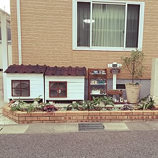 玄関/入り口/多肉寄せ植え/道路沿いガーデン/花壇/室外機カバーDIY...などのインテリア実例 - 2016-11-10 14:12:26