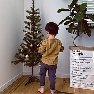 クリスマスツリー/こどものいる暮らし/こどもと暮らす/無垢の床/IKEA...などのインテリア実例 - 2020-11-09 12:52:21