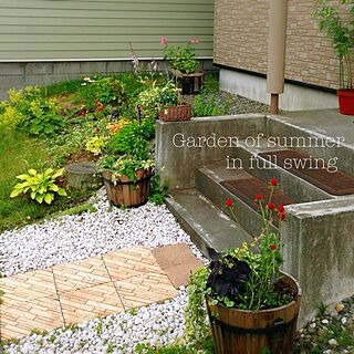 玄関/入り口/Blogやってません/Gardeningやってます/植物/gardenのインテリア実例 - 2014-07-23 23:47:19