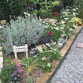 ベッド周り/植物/ガーデニング/ガーデン/手作りの庭...などのインテリア実例 - 2016-05-24 16:52:51