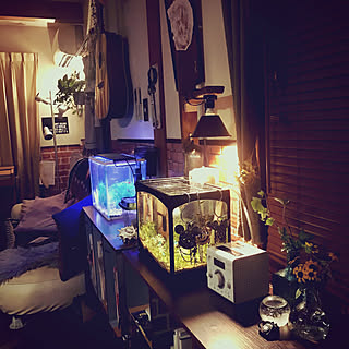 ガチャガチャ 花を飾るのおしゃれなアレンジ 飾り方のインテリア実例 Roomclip ルームクリップ ガチャガチャ 花を飾るのおしゃれなアレンジ 飾り方のインテリア実例 Roomclip ルームクリップ