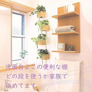 棚DIY/壁付け棚/サニタリー収納/観葉植物のある暮らし/洗面所 収納...などのインテリア実例 - 2020-07-17 09:09:51