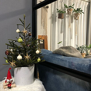 ベツレヘムの星/クリスマス/IKEA/観葉植物のある暮らし/観葉植物...などのインテリア実例 - 2022-12-26 04:54:32