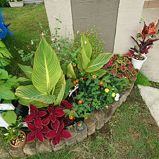 玄関/入り口/花/観葉植物/南国風のインテリア実例 - 2018-06-23 08:34:11