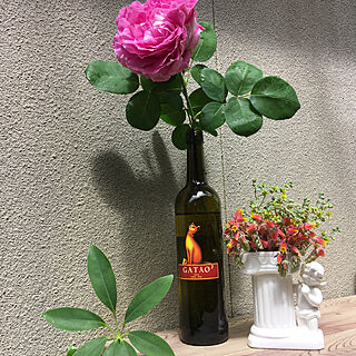 バラの花/ワインの空き瓶/花瓶はダイソー/多肉の花/ダイソー...などのインテリア実例 - 2020-05-19 10:08:32