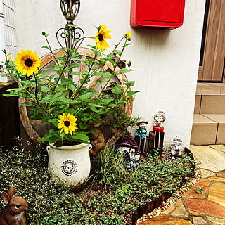 寄せ植え ひまわりのおしゃれなアレンジ 飾り方のインテリア実例 Roomclip ルームクリップ