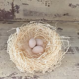 玄関/入り口/ハンドメイド/たまご/生成り色/鳥の巣...などのインテリア実例 - 2015-07-02 12:56:05