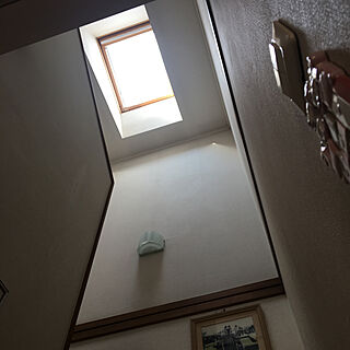 階段の天窓/吹き抜け/愛犬家と暮らす/壁/天井のインテリア実例 - 2020-03-05 10:00:27
