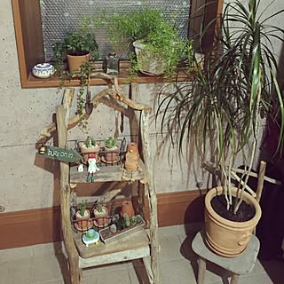 流木ガーデニング園芸観葉植物多肉植物インテリア雑貨エイジングdiy