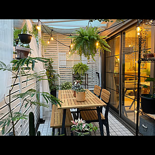 カフェ風/園芸ショップ風/ボタニカルライフ/植物のある暮らし/庭...などのインテリア実例 - 2021-07-09 19:25:02