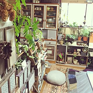 部屋全体/こたつカバー ハンドメイド/手編みクッションカバー/観葉植物/多肉植物...などのインテリア実例 - 2017-01-25 07:33:54