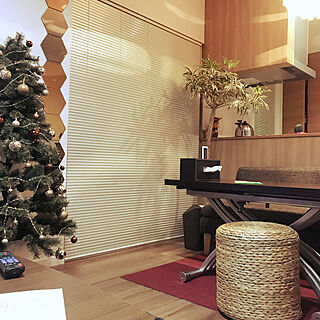 ニコアンド.../IKEA/クリスマスツリー/観葉植物/ニトリ...などのインテリア実例 - 2020-12-03 19:03:42