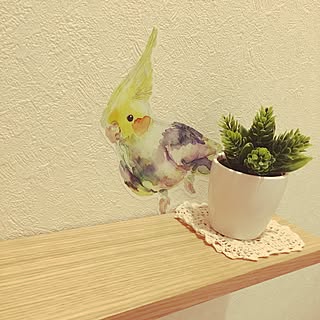 バス/トイレ/北欧/ナチュラル/オカメインコ と楽しい生活/オカメインコ...などのインテリア実例 - 2016-09-21 13:58:14