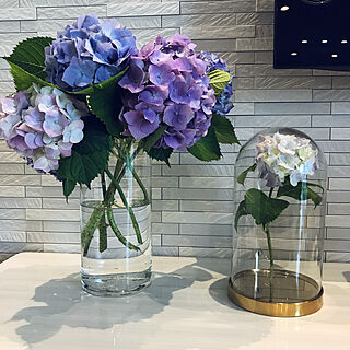 リビング/ガラス/ばーちゃんちの庭から/IKEA/紫陽花...などのインテリア実例 - 2018-06-07 18:15:23