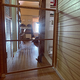 猫 脱走防止のインテリア実例 Roomclip ルームクリップ