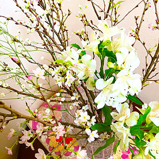 日常の風景/桜の花/花が好き♪/花のある暮らし/花の写真...などのインテリア実例 - 2021-02-09 12:27:06